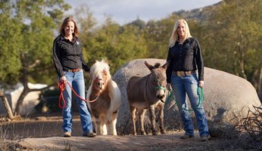 Karin Marsicek and Kimber Williams of San Diego animal nonprofit Robin's Nest Rescue in Ramona