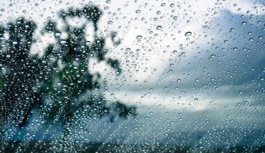 Heavy rain expected (Posted 930p Nov 9) – haligonia.ca