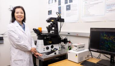 Familiar nutrient may help regrow soldiers’ muscles after wartime blast injuries