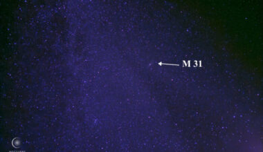 What’s up in the sky for November 2025? Leonid meteor shower, full hunter’s supermoon