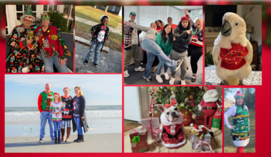 Vote for your fave from the 4 finalists