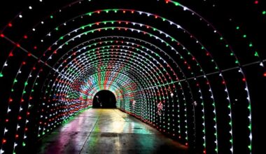 Ford Holiday River Parade, Locals Day at San Antonio Zoo, Coca-Cola Classic Christmas