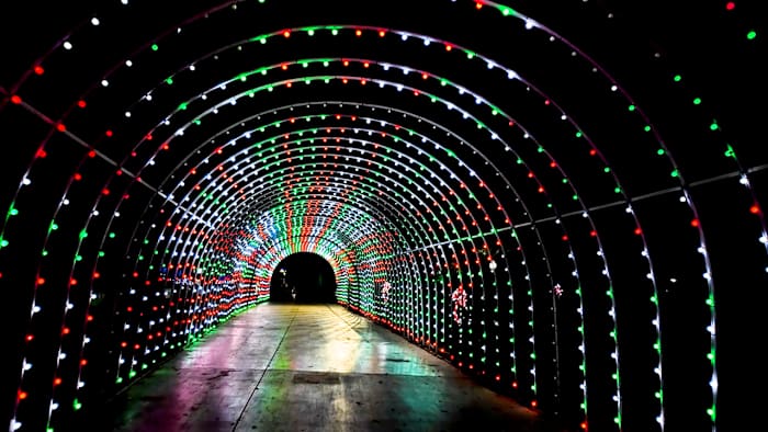 Ford Holiday River Parade, Locals Day at San Antonio Zoo, Coca-Cola Classic Christmas