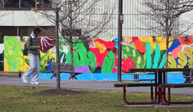 First snowstorm of the season could bring 5-15 cm of snow to Ottawa on Sunday - CTV News