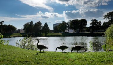 Temperatures in mid-80s possible this weekend in Dallas-Fort Worth