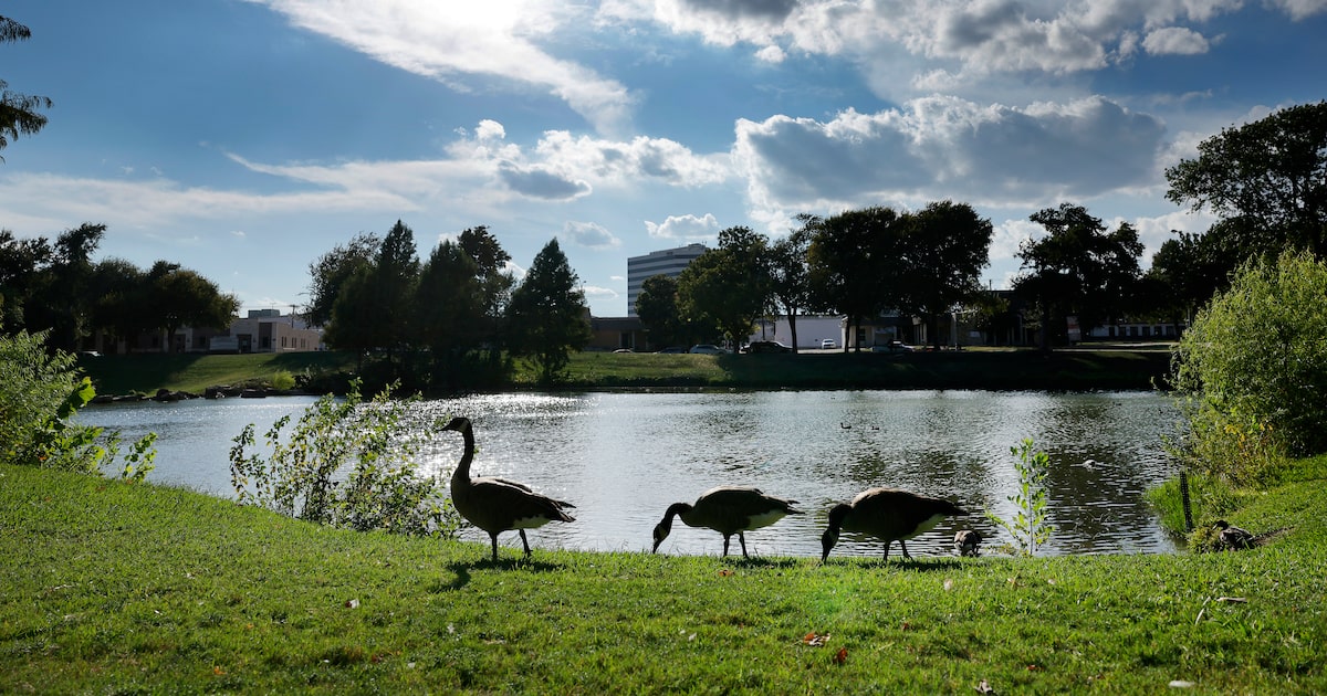Temperatures in mid-80s possible this weekend in Dallas-Fort Worth
