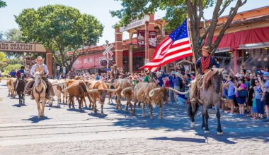 Deadly Horse Virus Shuts Down Texas Rodeos and Stockyards