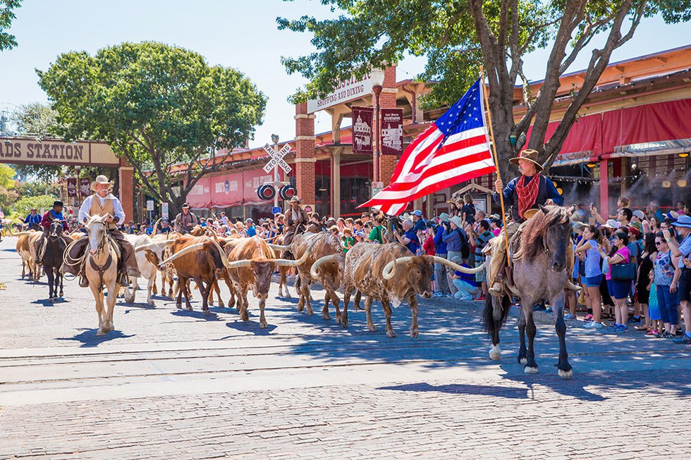 Deadly Horse Virus Shuts Down Texas Rodeos and Stockyards