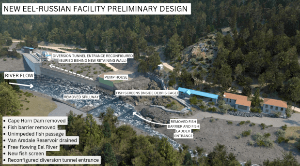 An infographic showing the preliminary design for the New Eel...