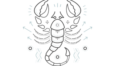 Your daily horoscope: November 8, 2025