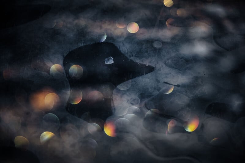 A dark, misty abstract image shows a duck-like silhouette surrounded by blurred, colorful bokeh lights and dreamy reflections, creating a surreal and mysterious atmosphere.