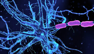 Scientists Identify Neurons Driving Anxiety – And How to Calm Them : ScienceAlert