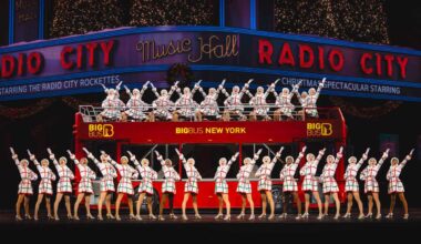 Tinsel, tunes and Tchaikovsky: Holiday shows light up New York