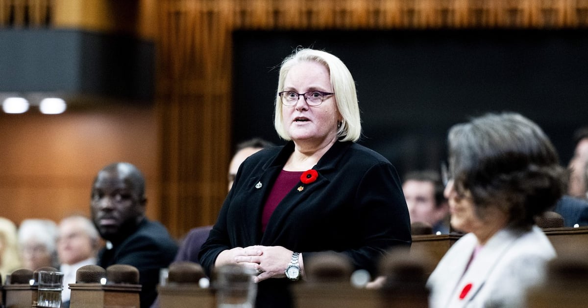 Veterans Affairs minister ‘respects’ independence of court in poppy ban decision - CTV News