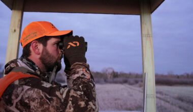 Why you should try deer hunting this year