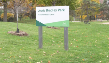 Suspected coyote attack in Mississauga leaves woman seriously injured