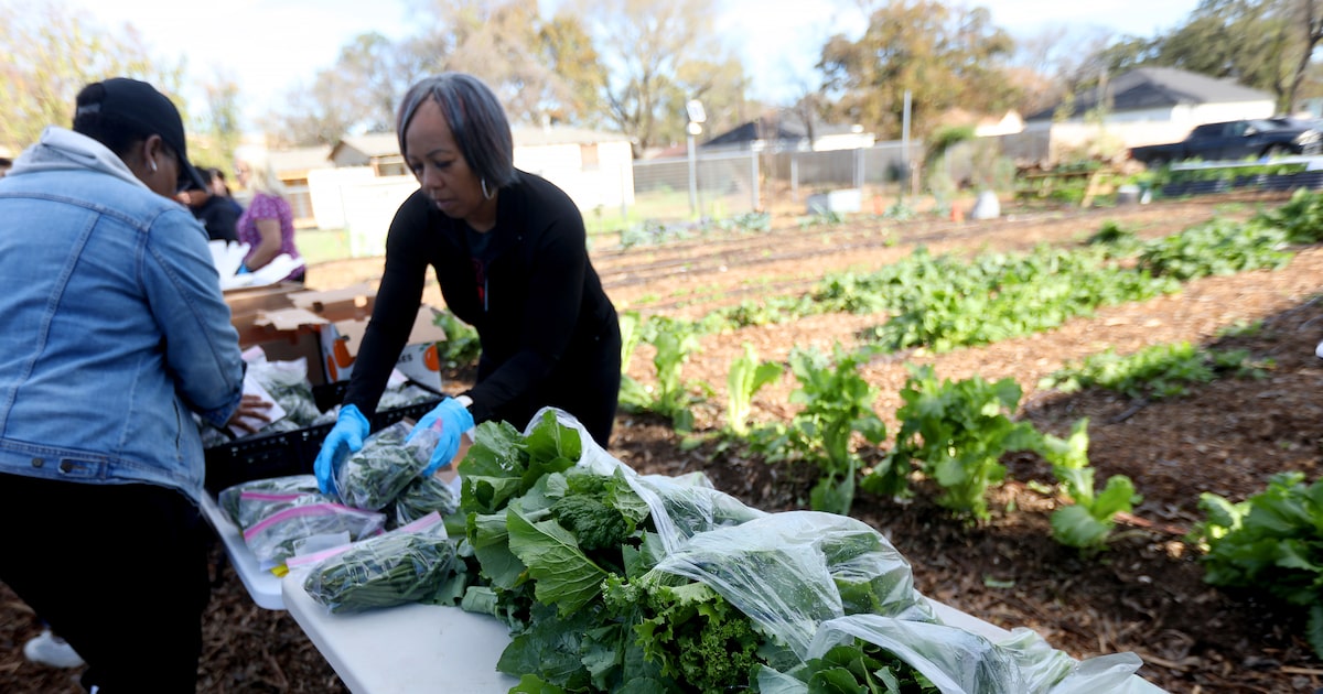 Amid booming growth and increasing hunger, does Dallas need a plan for its food system?