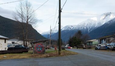Community unsettled after coastal B.C. grizzly attack injures 11
