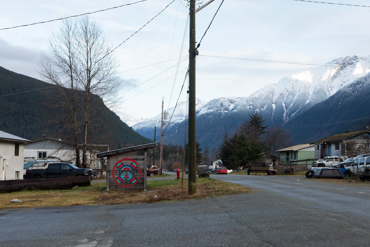 Community unsettled after coastal B.C. grizzly attack injures 11