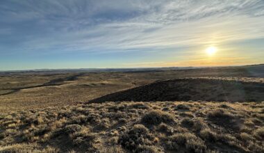 Drilling lease slated 2 miles from world’s largest sage grouse lek, center punching planet’s longest mule deer migration