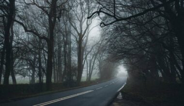 CA's Legendary Route 66 The World’s Second Most Haunted Road