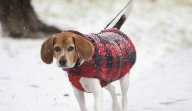 With overnight lows in the 30s next week, when does D-FW usually get its first freeze?