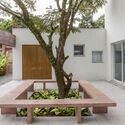 © Rafael Renzo Forest House / RAWI Arquitetura + Design - Interior Photography, Garden, Concrete, Courtyard