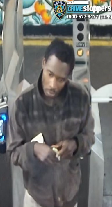 Bronx subway slashing suspect