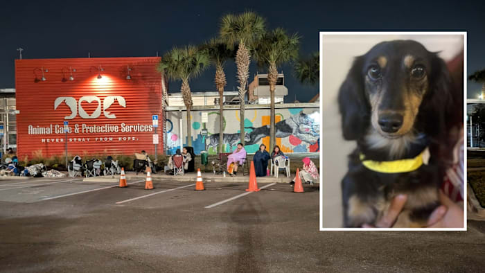 At least 30 people camp overnight outside ACPS hoping to adopt weiner dogs
