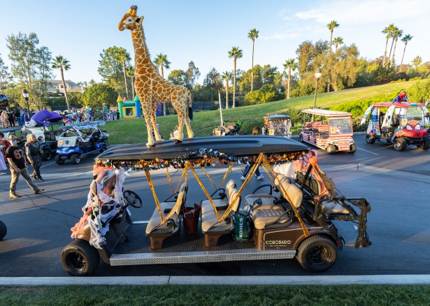 A zoo-themed golf cart Jon Clark