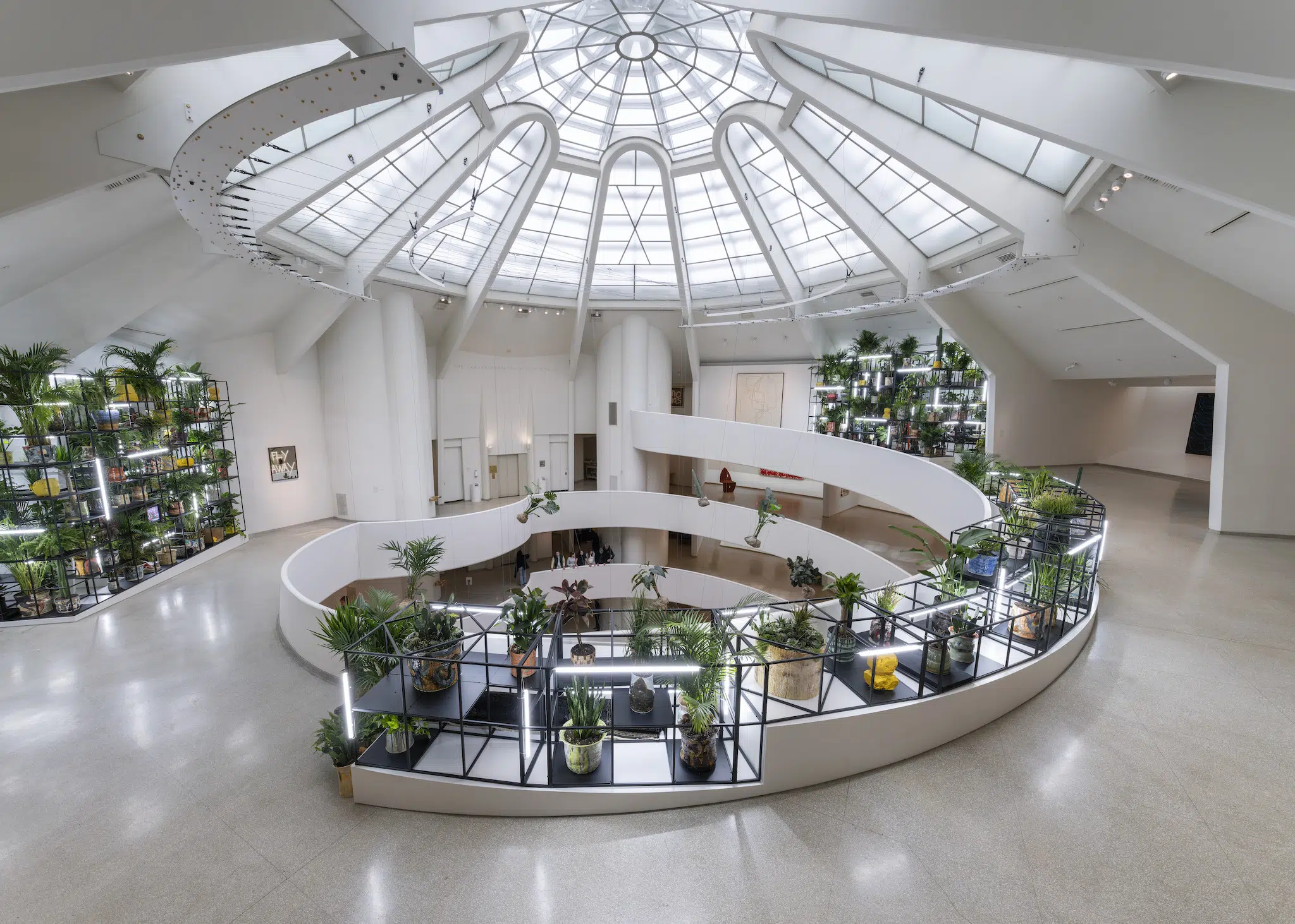 Installation view of 