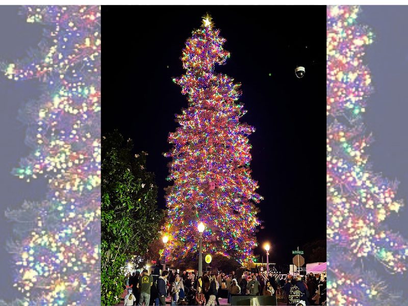 50th annual Coronado holiday parade and tree lighting - the brightest yet