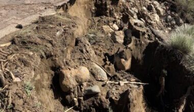 Arizona stories weekend wrap Nov. 7-9...