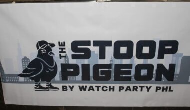 Stoop Pigeon logo