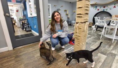 Risk worth the reward for NEPA women entrepreneurs