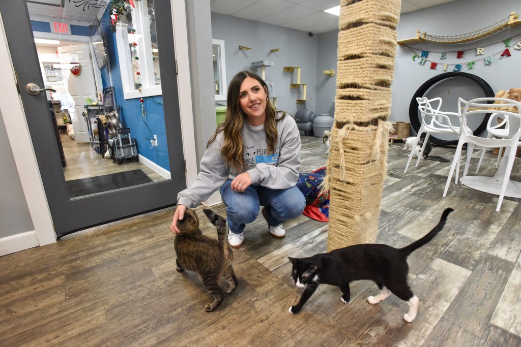 Risk worth the reward for NEPA women entrepreneurs