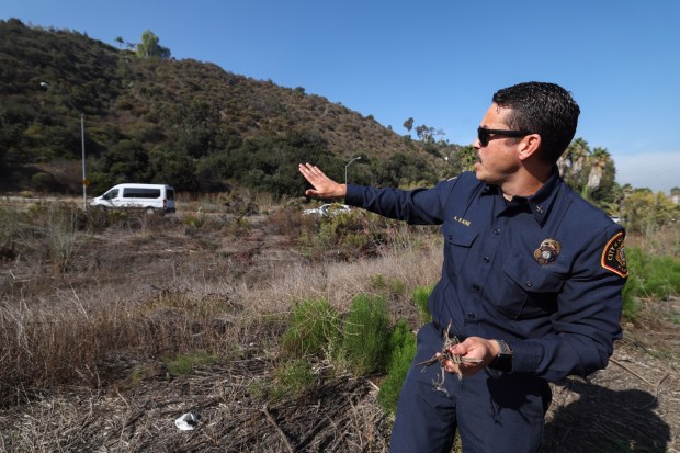 San Diego Assistant Fire Marshal Alex Kane holds dried vegetation, which can fuel a brushfire, as he describes how fire can race up a steep incline of brush while standing next to Fairmount Avenue in San Diego on Friday, Oct. 31, 2025. (Hayne Palmour IV / For The San Diego Union-Tribune)