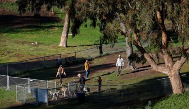 MacArthur parkgoers want larger off-leash dog area following citations