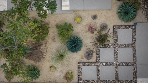 A bird's-eye view of the Santee yard shows the precise placement of plants that could handle high heat and would maintain a controlled size. (Ana Ramirez / The San Diego Union-Tribune)