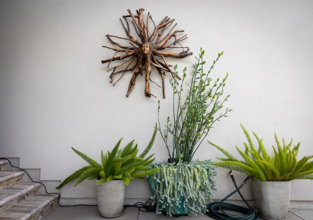 A large wooden Medusa head hangs near the entry, with...