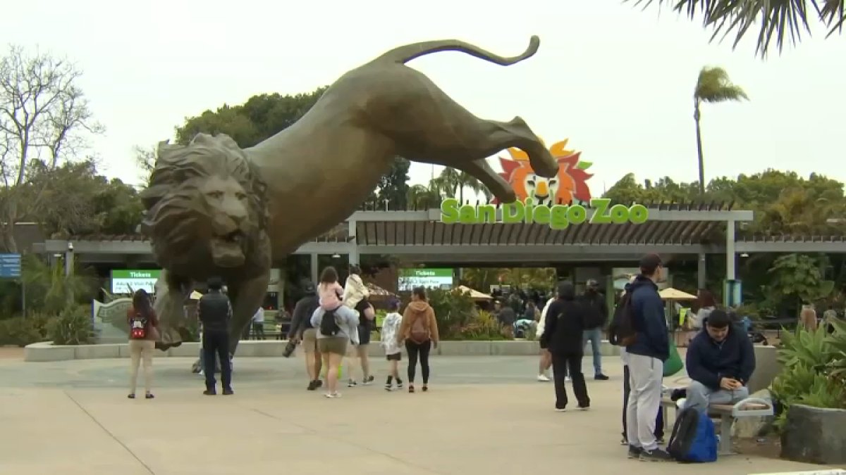 San Diego Zoo to start charging for parking starting January – NBC 7 San Diego