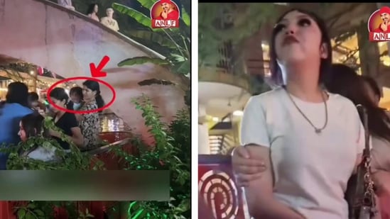 A woman (L) was filmed hurling obscenities before pepper spraying 8 people(Instagram/@america_nri_la_frustration)