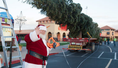 Arizona's tallest Christmas tree coming to Phoenix Wednesday