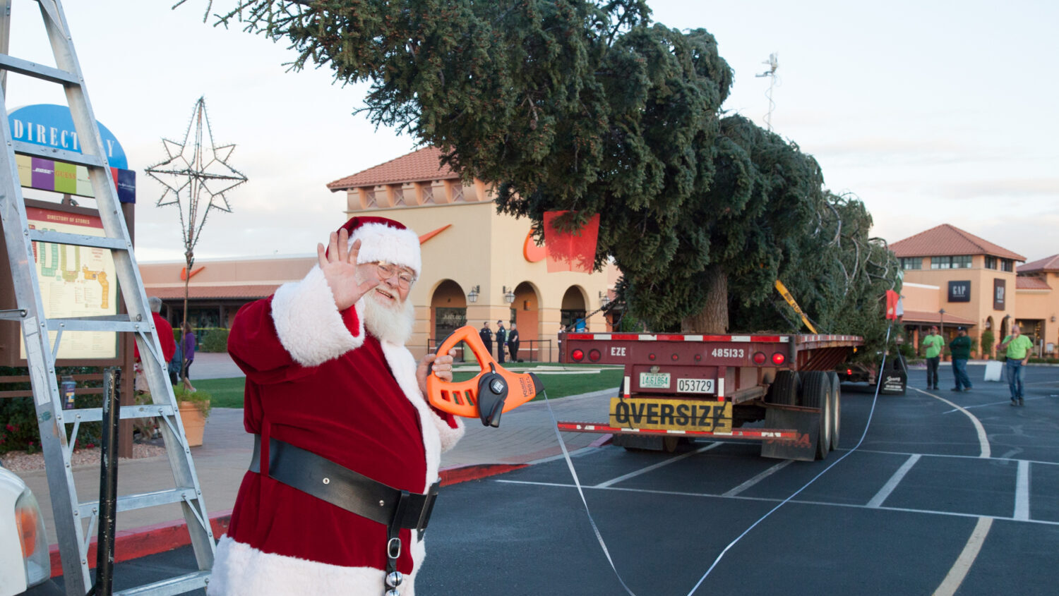 Arizona's tallest Christmas tree coming to Phoenix Wednesday