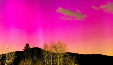 The Physics of the Northern Lights