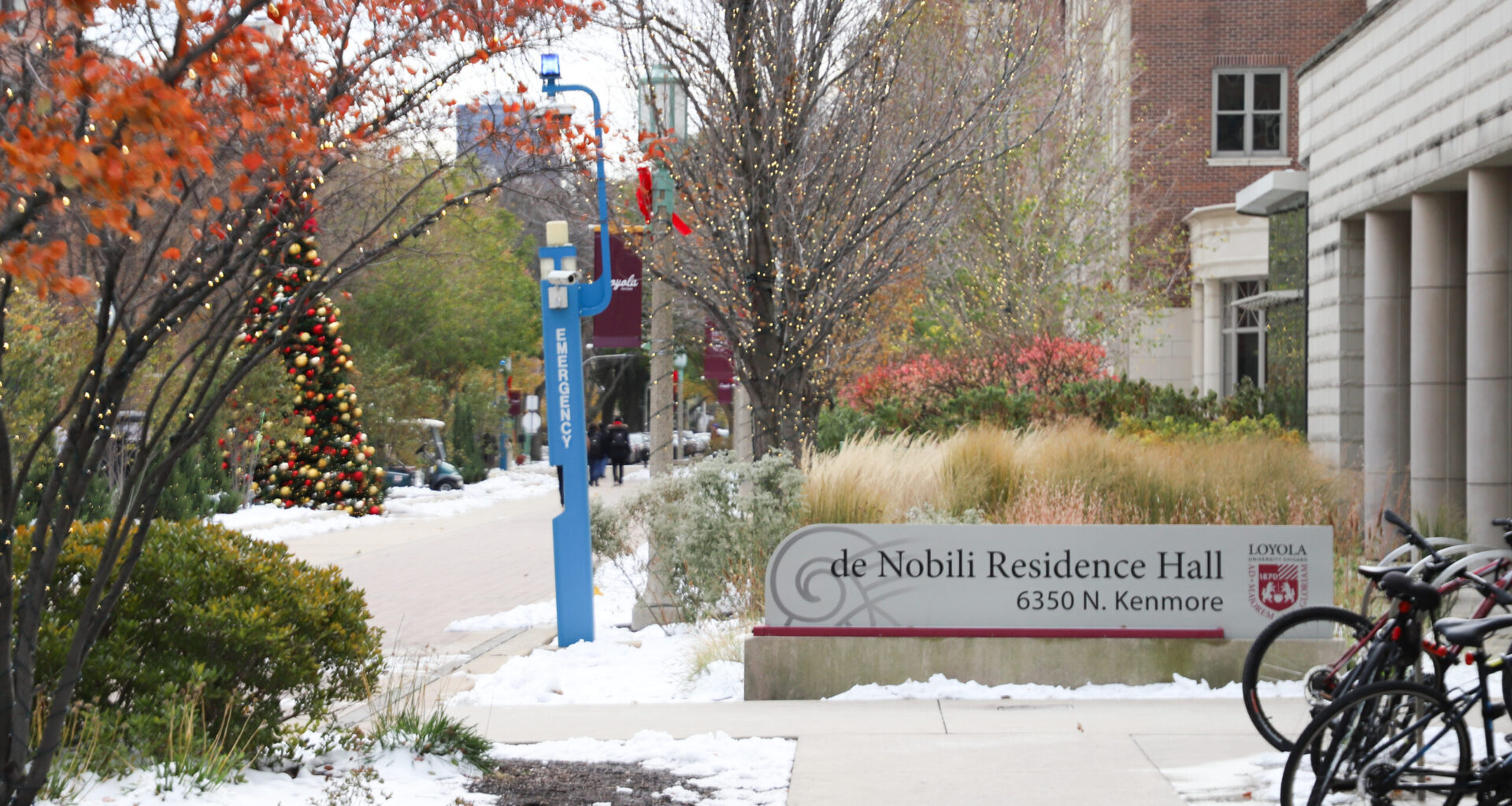 Winter Dorming: Torture or a Dream?