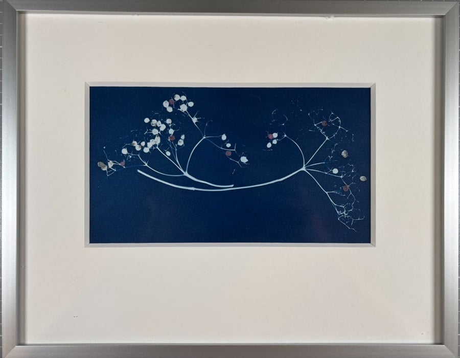 Power of Place: Inspirations from Ilan-Lael