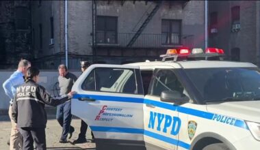 80-year-old stabbed to death in NYC apartment by roommate – NBC New York