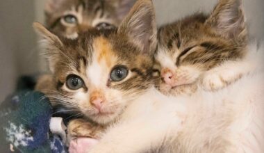 Business datebook for week of Nov. 30