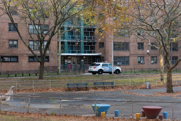 Police are pictured outside 1580 E. 102nd St. at the NYCHA Bay View Houses in Brooklyn, New York, after the body of an infant boy was discovered under a pile of leaves on Thursday, Nov. 20, 2025. (Gardiner Anderson / New York Daily News)